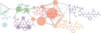 Dissecting Bottromycin Biosynthesis Using Comparative Untargeted Metabolomics | Natural Products Chemistry Breaking News | Scoop.it