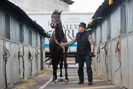 Lille : des souvenirs plein la t&ecirc;te, Alexis Gruss de retour sur les terres du Nord | Salon du Cheval | Scoop.it