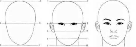 Horizontal Facial Proportions of Adults | Drawing and Painting Tutorials | Scoop.it