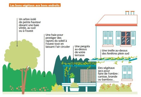 Fortes chaleurs : comment garder son logement au frais sans se ruiner | Les Colocs du jardin | Scoop.it
