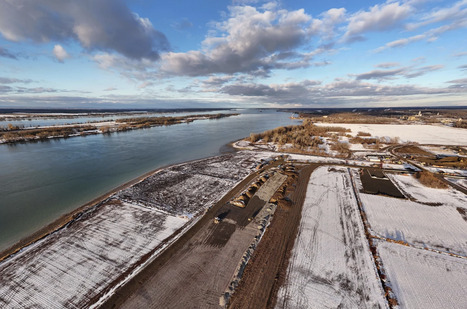 Est-il possible de compenser la destruction de l&rsquo;habitat du chevalier cuivr&eacute;? | Ils parlent de nous ! | Scoop.it