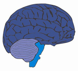 CAST UDL Online Modules | ED262 mylineONLINE:  Exceptionalities and Accessibilities | Scoop.it