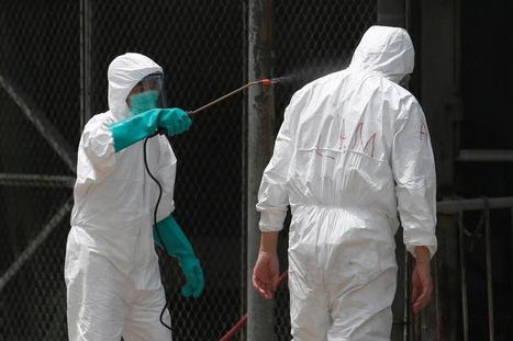 Scientists edit chicken genes to make them resistant to bird flu - Reuters | Virus World | Scoop.it