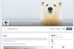 DSFI » Actu Numérique : Facebook dévoile un outil pour aider les ONG à lever des fonds | UseNum - Association | Scoop.it