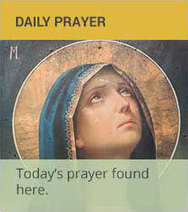 Catholic Australia - History | Learning from the Past | Scoop.it