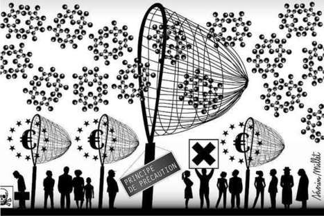 Les nanomatériaux vont-ils échapper au filet sanitaire européen ? | Innovation Agro-activités et Bio-industries | Scoop.it