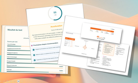 Organismes de formation : Testez votre degr&eacute; de maturit&eacute; IA !&nbsp; | Formation : Innovations et EdTech | Scoop.it
