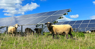 L'agrivoltaïsme met-il la charrue avant les bœufs ? | Environnement - Développement durable - Climat | Scoop.it