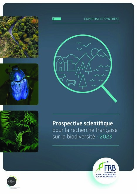 Prospective scientifique pour la recherche française sur la biodiversité - 2023 | Biodiversité | Scoop.it