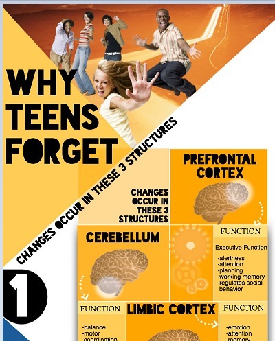 Why is My Teen So Forgetful? | Eclectic Technology | Scoop.it