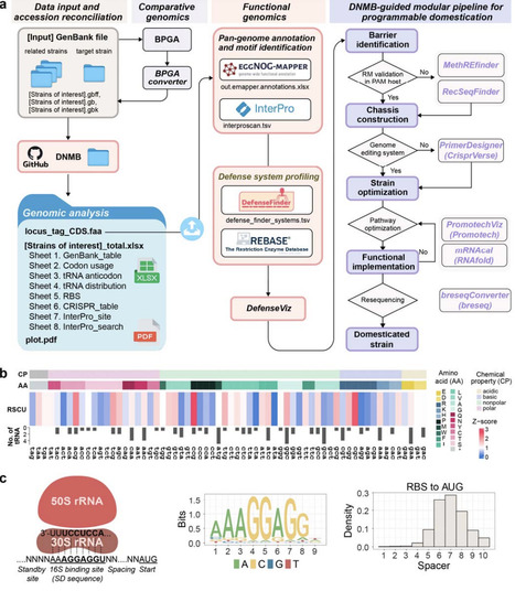 Programmable domestication of thermophilic bacteria through removal of non-canonical defense systems | brvbe | RMH | Scoop.it