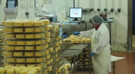 La fromagerie Graindorge serait à vendre | Lait de Normandie... et d'ailleurs | Scoop.it