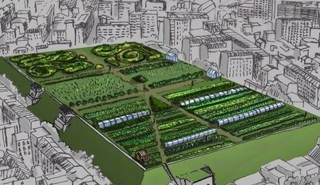Sur les toits de Paris... des fermes | Paris durable | Scoop.it