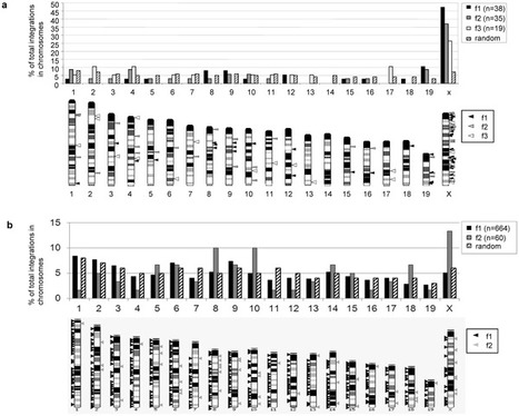 PLOS ONE: Integration Profile and Safety of an Adenovirus Hybrid-Vector Utilizing Hyperactive Sleeping Beauty Transposase for Somatic Integration | Vectorology - GEG Tech top picks | Scoop.it