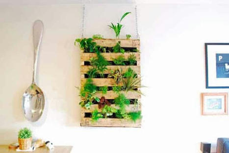 Diy Pallet Living Wall | 1001 Gardens ideas ! | Scoop.it