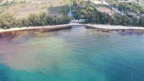 Star Petroleum Promises to Pay for Oil Spill Cleanup South of Bangkok / le 01.02.2022 | Pollution accidentelle des eaux (+ déchets plastiques) | Scoop.it