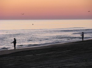 &lsquo;Tis the Season&hellip;for Surf-casting that is. | Surfing Magazine | Scoop.it
