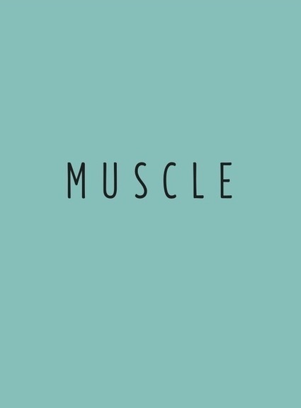Muscle | Revues | Scoop.it