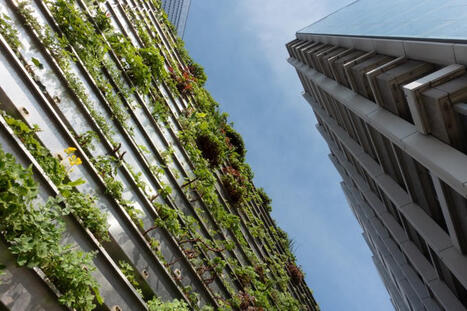 Faire progresser la r&eacute;silience climatique en Europe - 17e webinaire Climate-ADAPT | Green Deal Industrie Rev3 | Scoop.it