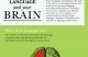 Language and Your Brain | Learning & Technology News | Scoop.it