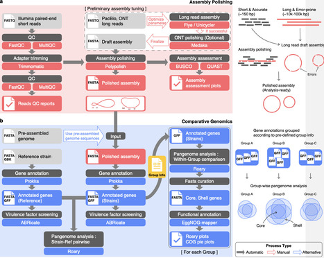 A Snakemake-based bacterial whole genome comparison pipeline for multi-group clinical isolates | brvbi | RMH | Scoop.it