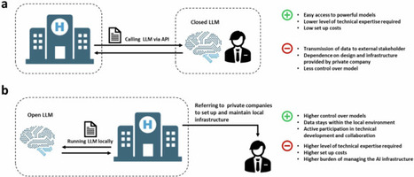 Implementing large language models in healthcare while balancing control, collaboration, costs and security | npj Digital Medicine | WE LINK CARE | Scoop.it