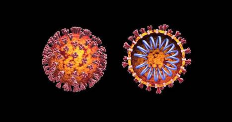 AI Can Help Scientists Find a Covid-19 Vaccine | WIRED | artificial intelligence for students | Scoop.it