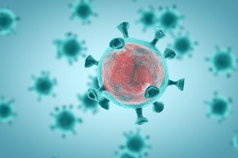 Les fake news autour du coronavirus COVID-19 | EntomoNews | Scoop.it