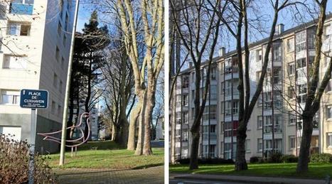 À Vannes, les conseils citoyens sous contrôle | L'actualité des quartiers politique de la ville de Bretagne et Pays de la Loire | Scoop.it
