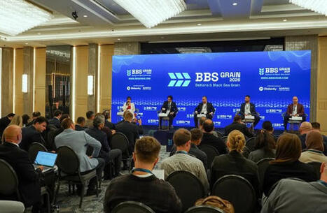 Black Sea disruption tests grain supply routes as Danube bottlenecks persist | Miller Magazine | MED-Amin network | Scoop.it