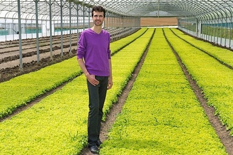 Social et solidaire, mais avant tout économique | L'Hebdo | ESS, Coopération économique, entrepreneuriat | Scoop.it