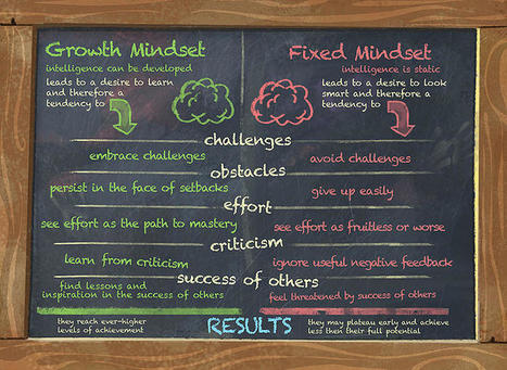 Growth Mindset: GoBrain and Making a Splash | 21st Century Learning and Teaching | Scoop.it