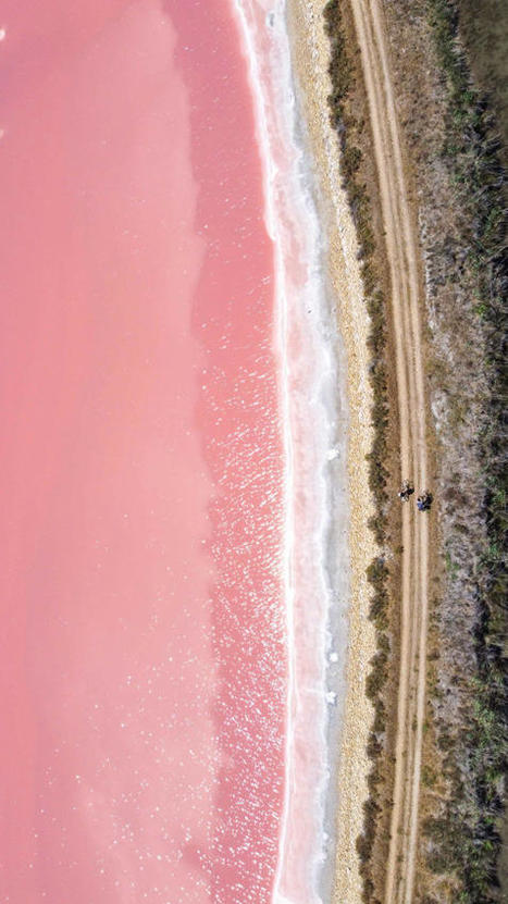 La ViaRhôna de Lyon à Sète | Loisirs Nature dans l'Hérault | Scoop.it