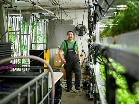 GROENLAND : Le pari fou d'un entrepreneur pour faire pousser des salades | LE GRAND NORD | Scoop.it