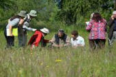 [Projets de recherche] Fonctionnalités des milieux terrestres et efficacité des pratiques de gestion. Restitution | Biodiversité | Scoop.it