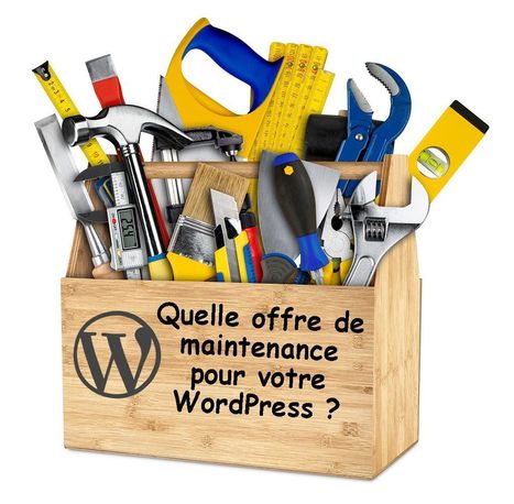 Quelle offre de maintenance choisir pour votre WordPress ? | WordPress France | Scoop.it