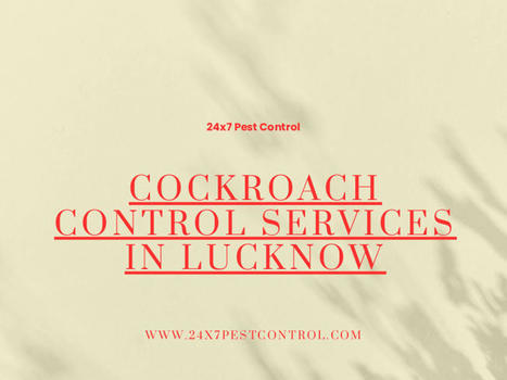 Cockroach Control Services in Lucknow | Pest Control Services | Scoop.it