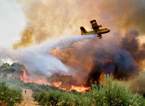Breathing Easy: Safe Cannabis Consumption During Wildfire Season | Cannabis.Net | Scoop.it