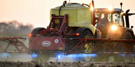 Glyphosate : l’expertise européenne a exclu de son analyse l’essentiel de la littérature scientifique | EntomoNews | Scoop.it