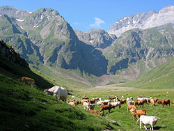 Vallée de La Gela - Wikipédia | Vallées d'Aure & Louron - Pyrénées | Scoop.it