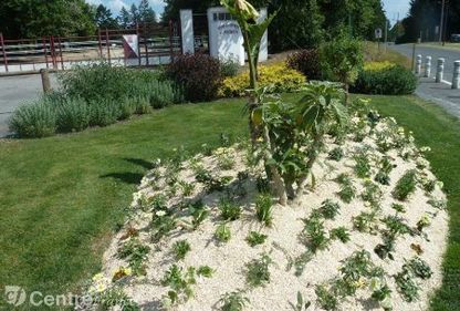 La commune se lance et donnera l’exemple aux autres communes du Cher nord | Biodiversité | Scoop.it