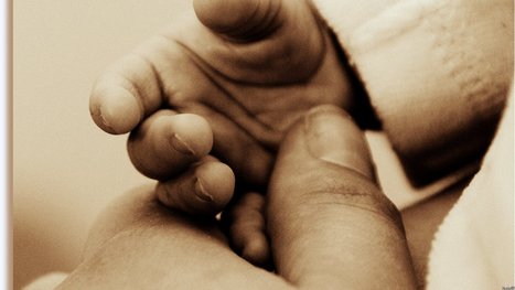 La th&eacute;orie du genre n'existe pas ? R&eacute;ponse dans le rapport Teychenn&eacute; command&eacute; par Vincent Peillon. | Famille maternit&eacute; Sexualit&eacute; IVG | Scoop.it