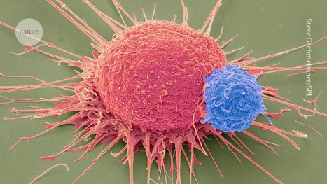 Cancer-fighting CAR T cells show promising results for hard-to-treat tumours - Nature | Genetic Engineering Publications - GEG Tech top picks | Scoop.it