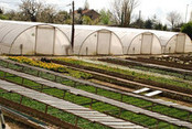 Fleurissement de l'espace public | Paysage - Agriculture | Scoop.it