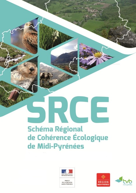 Ouverture de l'enquête publique relative au Schéma Régional de Cohérence Écologique (SRCE) Midi-Pyrénées - DREAL Midi-Pyrénées | Vallées d'Aure & Louron - Pyrénées | Scoop.it