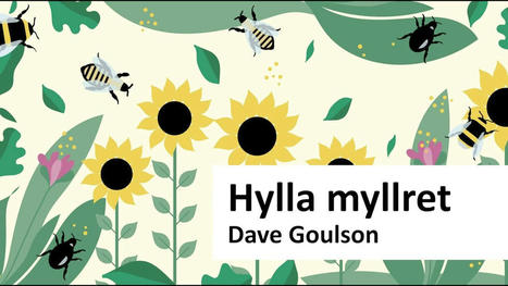 Replay de la conférence du professeur Dave Goulson "Silent Earth : Saving Our Insects!" enregistrée lors du week-end de la biodiversité "Hylla myllret" en mai de cette année | EntomoScience | Scoop.it
