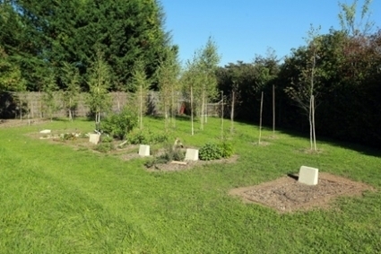 Le premier cimetière "écolo et pas cher" de France a été conçu à Niort | Les Colocs du jardin | Scoop.it