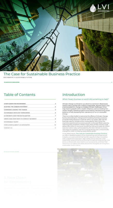 The Case for Sustainable Business Practice | Daily Magazine | Scoop.it