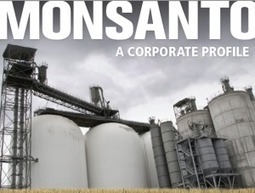 MONSANTO: A CORPORATE PROFILE From Chemical Warfare to Saccharin to GE Seed, Killer Pesticides & Pharmaceuticals -  Patent Controls | YOUR FOOD, YOUR ENVIRONMENT, YOUR HEALTH: #Biotech #GMOs #Pesticides #Chemicals #FactoryFarms #CAFOs #BigFood | Scoop.it