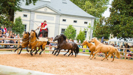 &Eacute;questria f&ecirc;te ses 30 ans : le haras de Tarbes au galop de la cr&eacute;ation estivale familiale | Accueil | Scoop.it